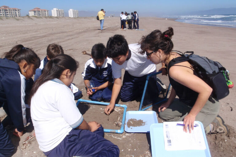 Proceso de selección para becas de ciencias marinas en México