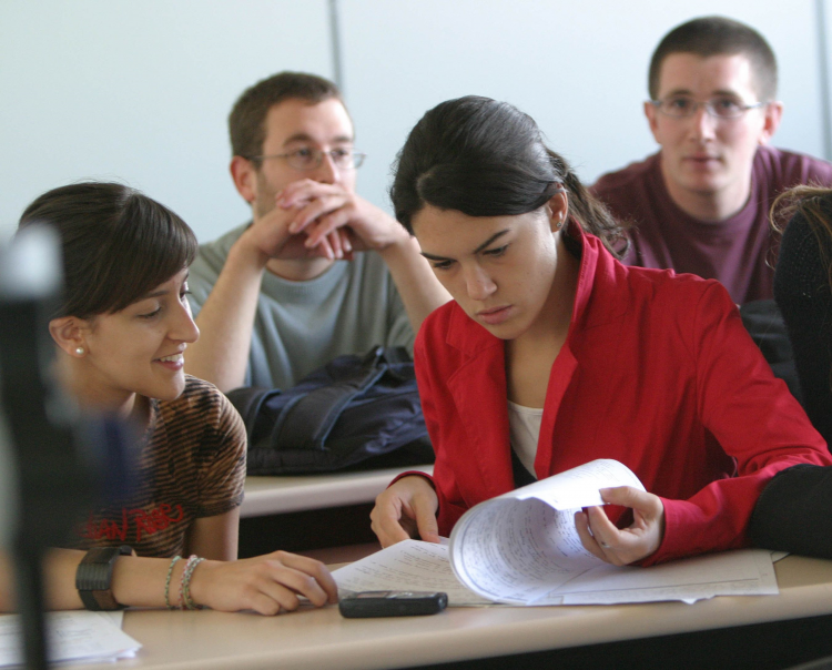 Opciones de tutorías universitarias en México: ¿Cuál es la mejor para ti?